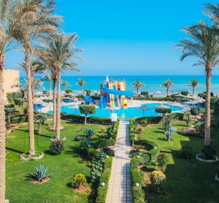 ريتال فيو