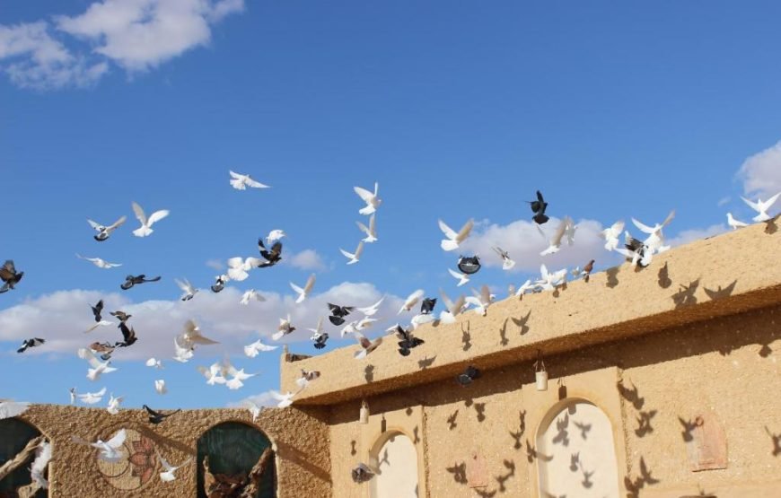 منتجع جزيرة طاغاغين سيوة