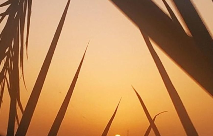 فندق ونس كاتو/ النوبة