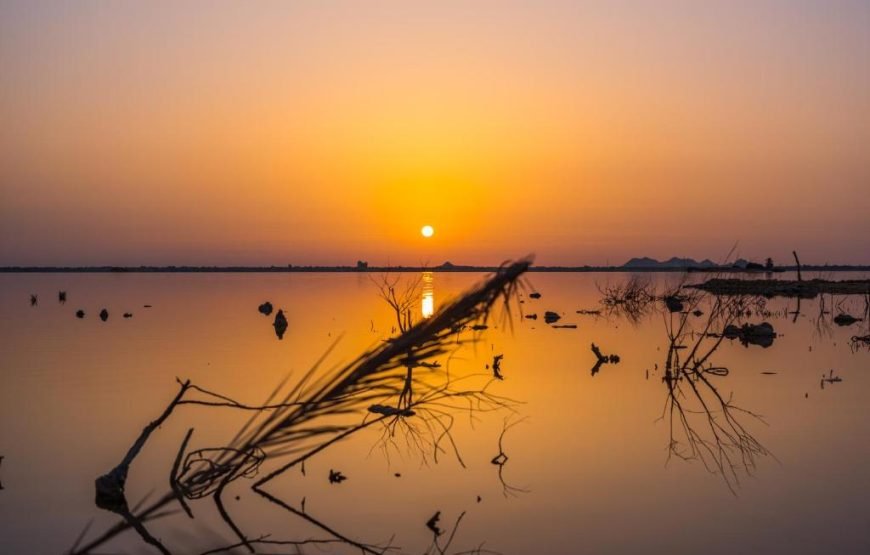 منتجع جزيرة طاغاغين سيوة