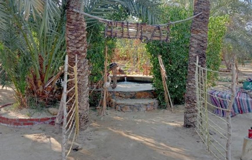 فندق اجوبار سيوة