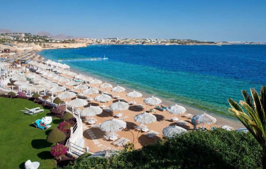 منتجع شاطئ صن رايز أرابين